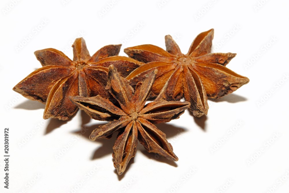 Sternanis Sternanis