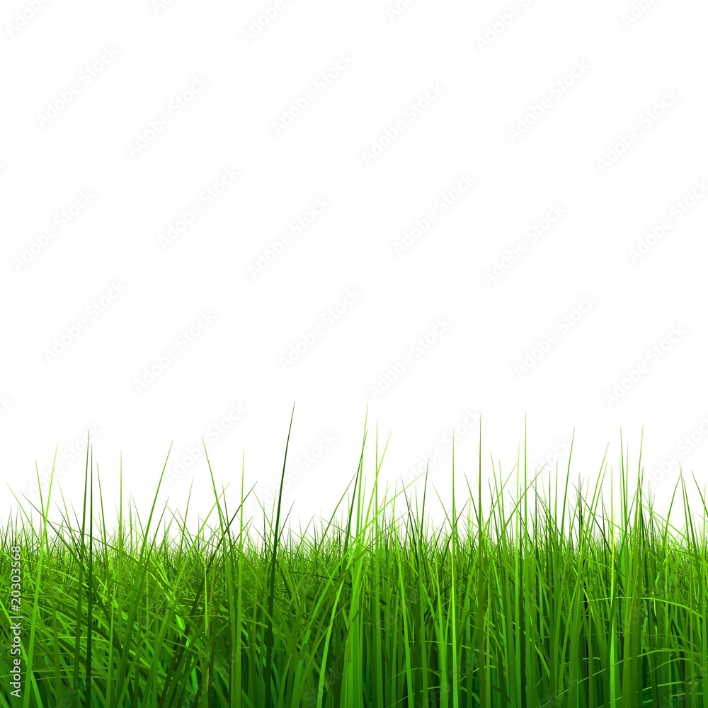 High resolution 3d green grass isolated on a white