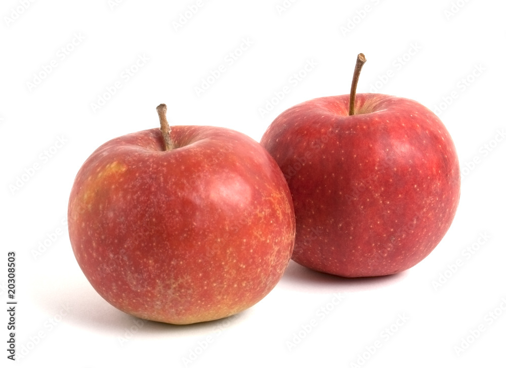 apples apples