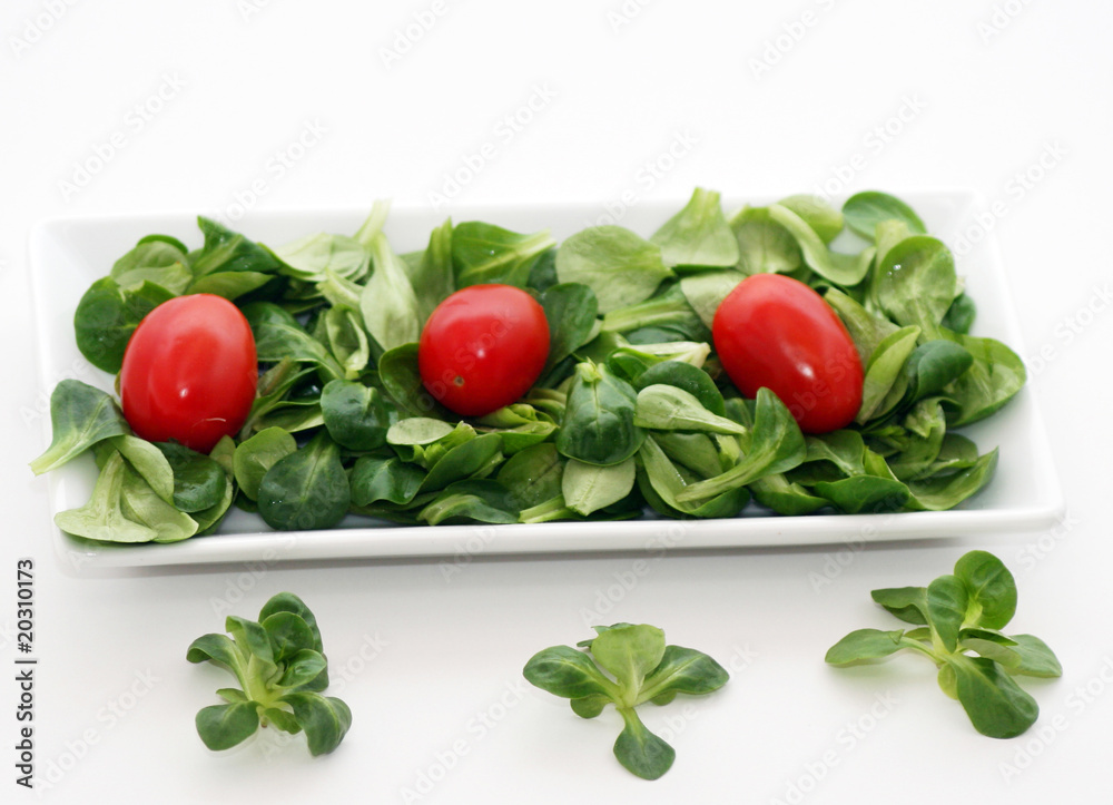 Feldsalat Feldsalat