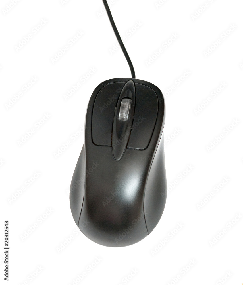 A mouse isolated on white background A mouse isolated on white background