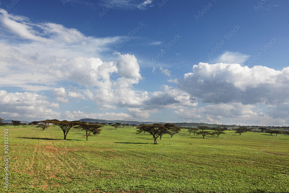 Obraz premium African landscapes