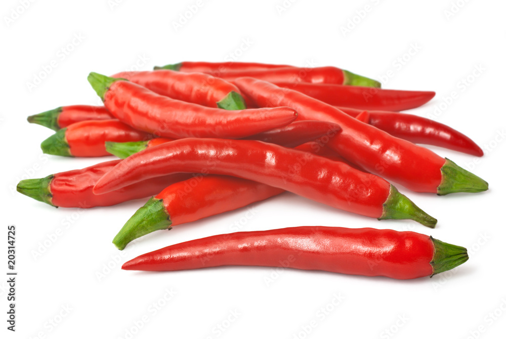 Spicy red chilies isolated on white background