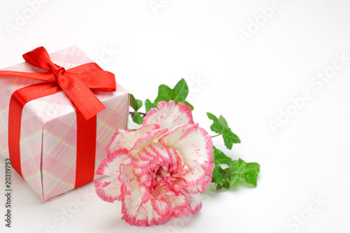 carnation and present © Reika