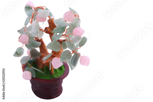 Oriental lucky tree isolated on white