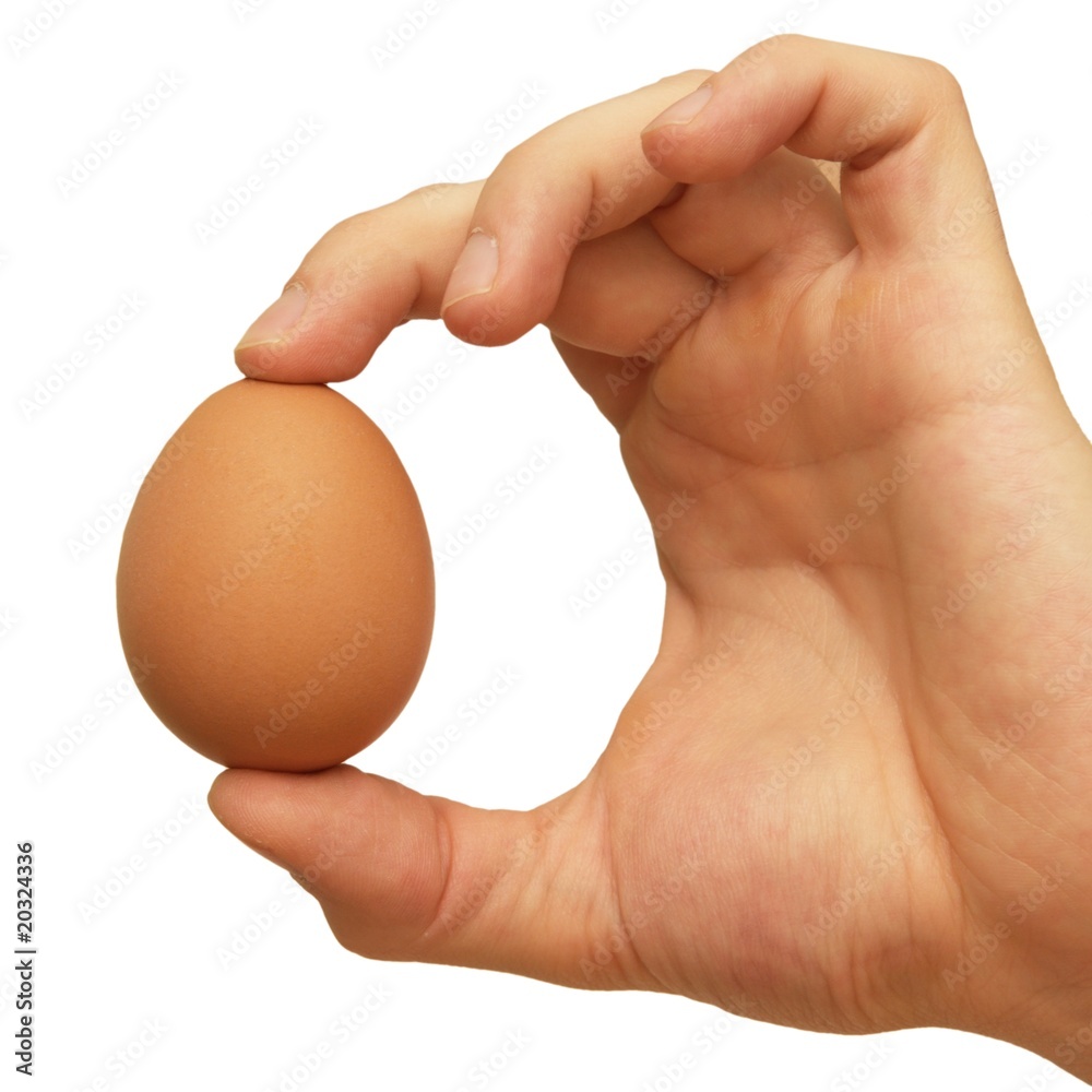 hand with egg hand with egg