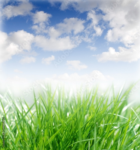 spring lawn and beautiful sky