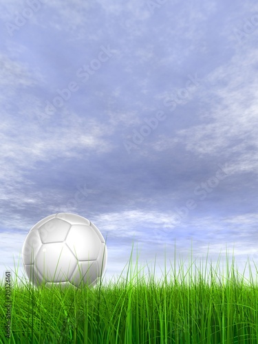 High resolution 3d soccer ball on green grass © high_resolution