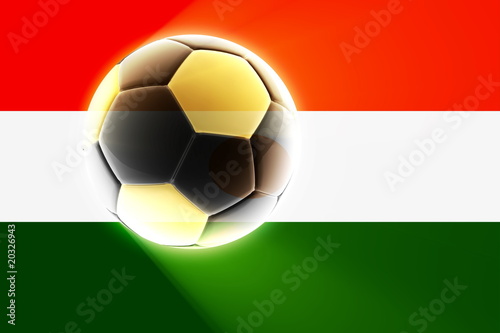 Flag of Niger soccer