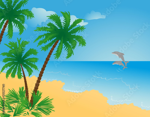 Dolphin,sea