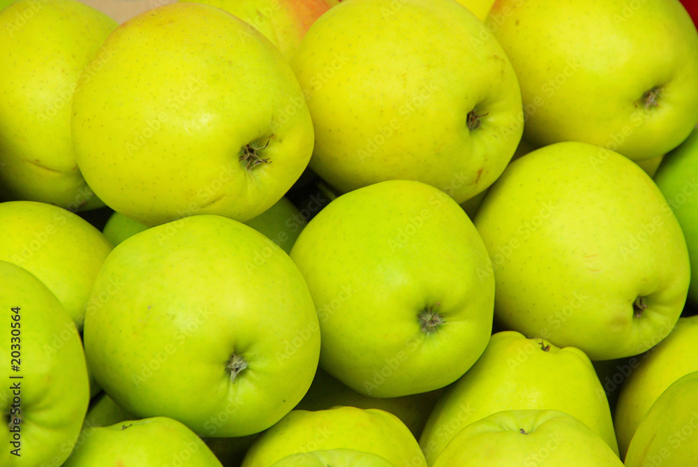 Apfel - apple 23 Apfel - apple 23