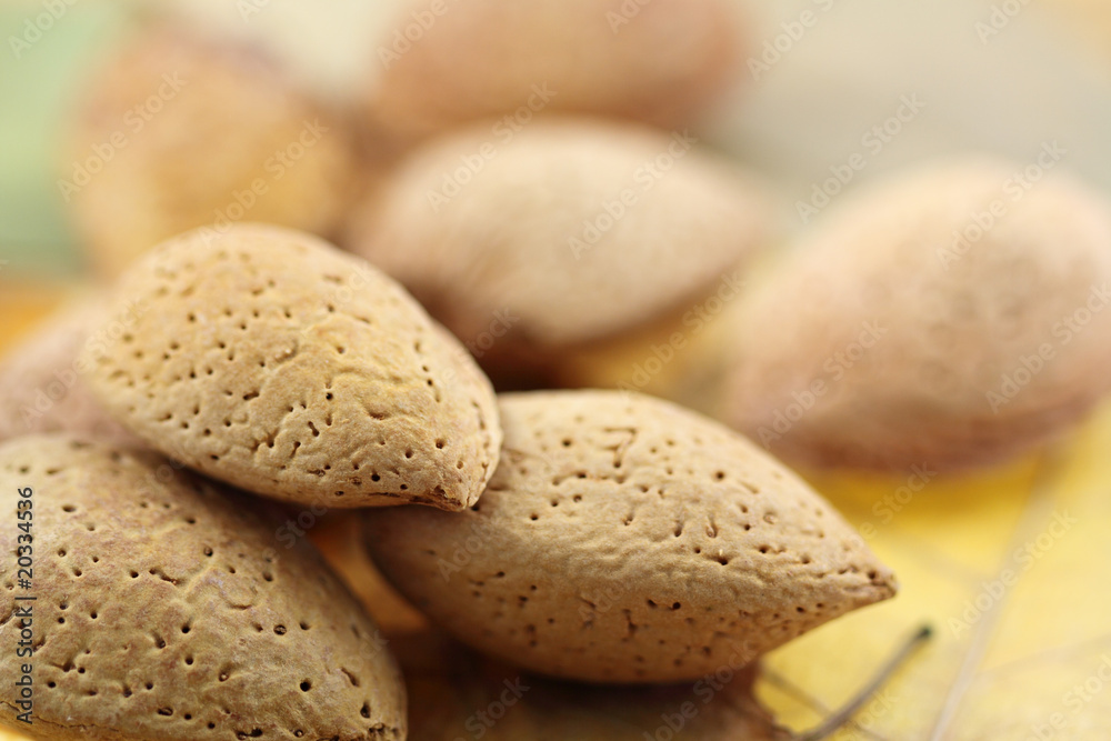 amandes sèches en coque amandes sèches en coque