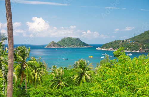 sea and jungle. beautiful ko tao island. Thailand.