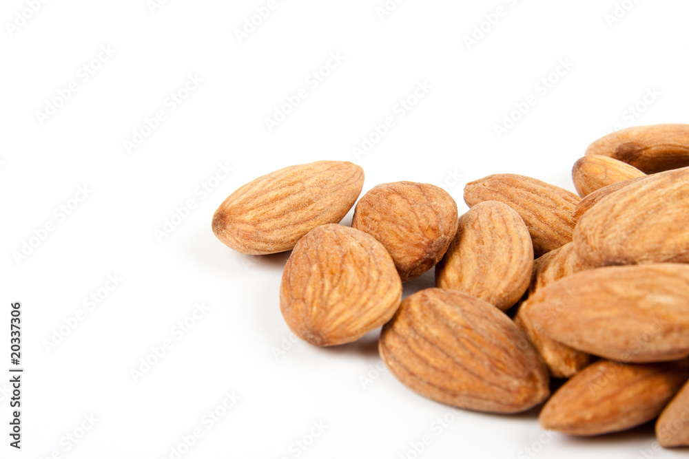 macro almonds macro almonds