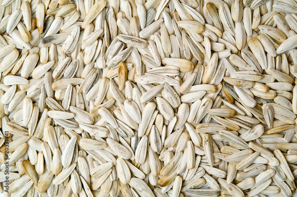 sunflower seeds