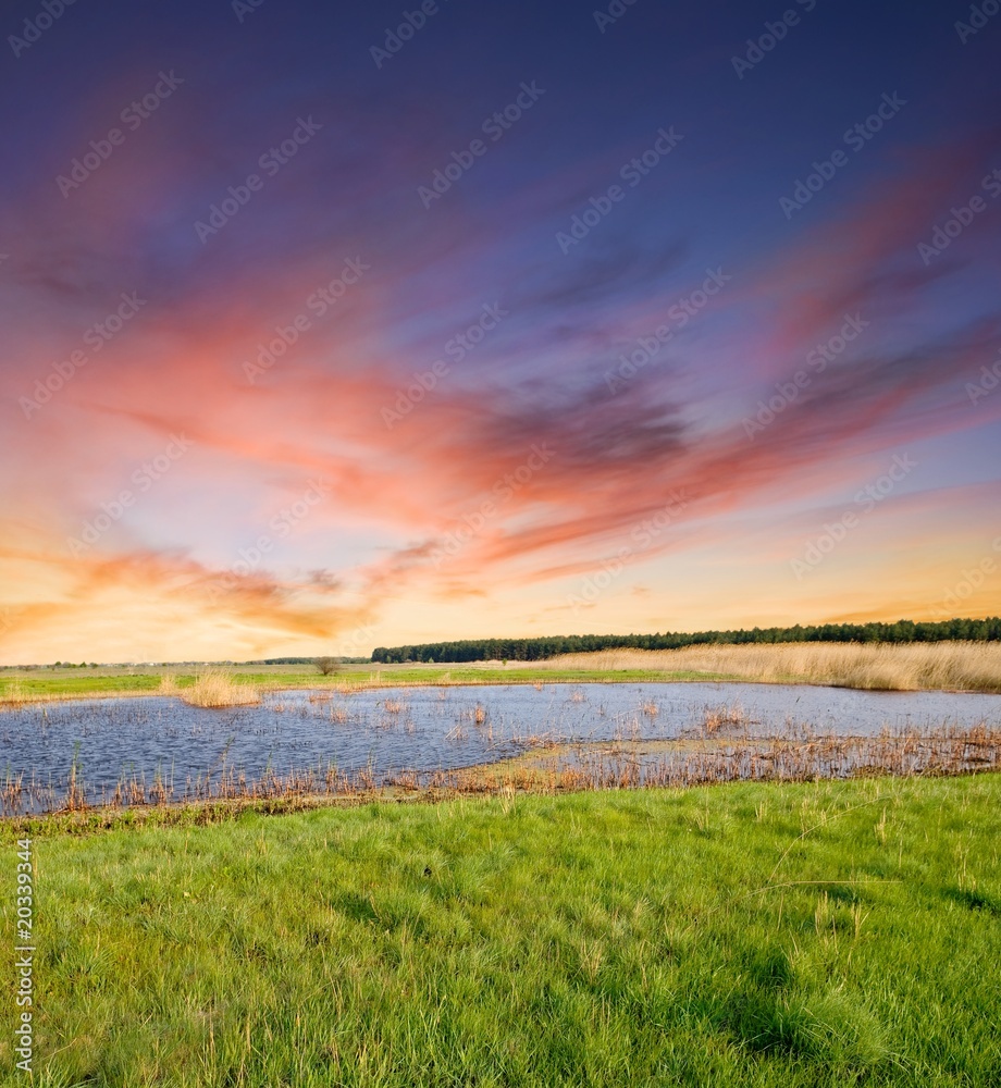 Obraz premium steppe landscape before a twilight