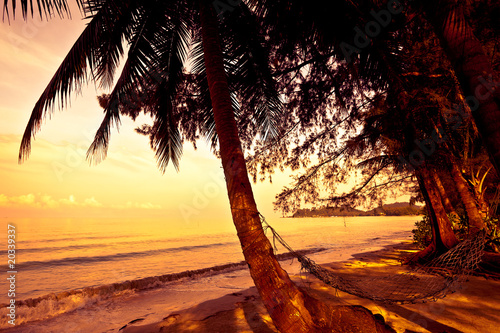 Straw hammock on sunset