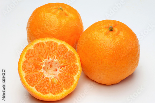 ponkan orange