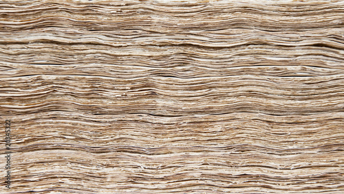 Detail of the fore-edge of an old book