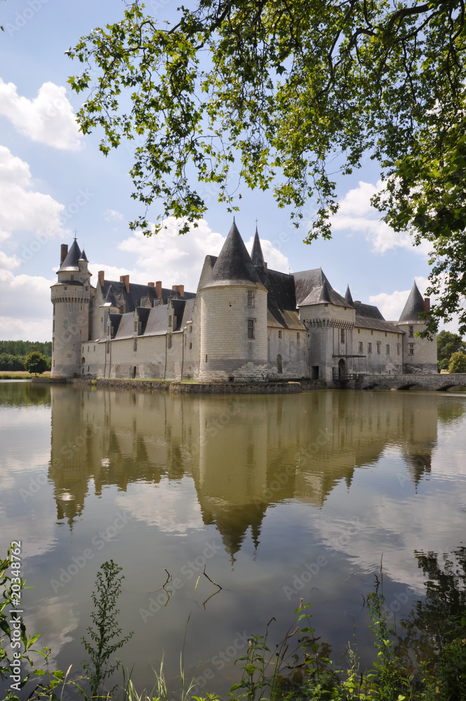 Reflet du château du Plessis-Bourré