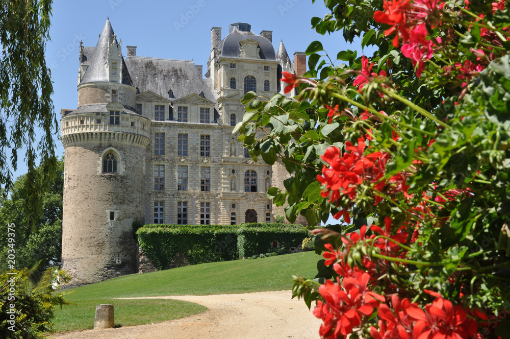 Chateau de la loire, Brissac.