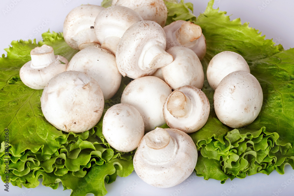 Champignon group mushroom group on lettuce leaf. Champignon group mushroom group on lettuce leaf.