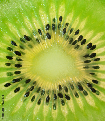 Kiwi fruit (macro)