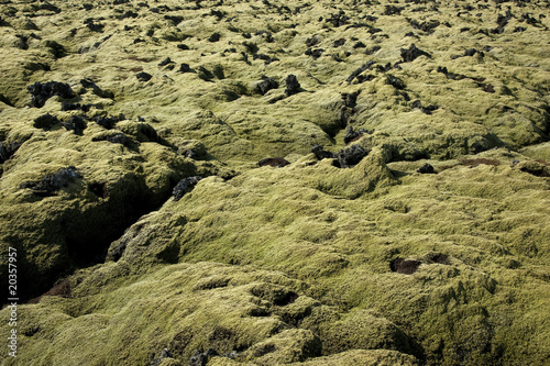 Icelandic landscape