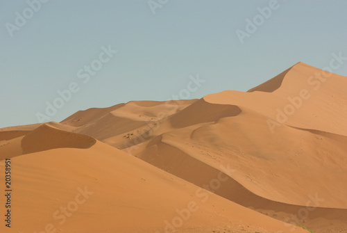 dune sea of the Namib desert