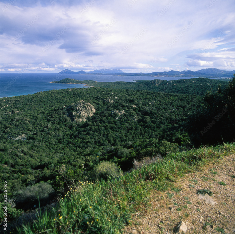 Fototapeta premium Sardinien_311529