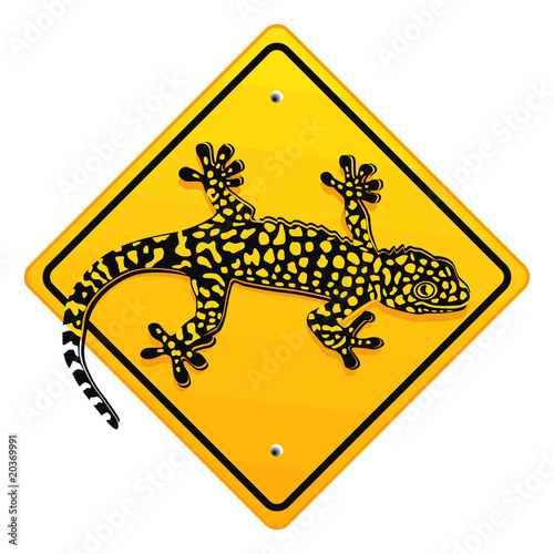 Salamander, Schild