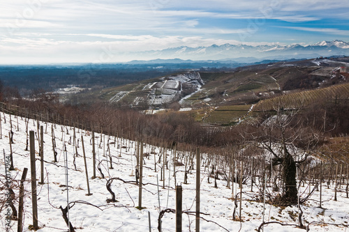 Tableau sur toile Snowed vineyards, Piemonte, north Italy