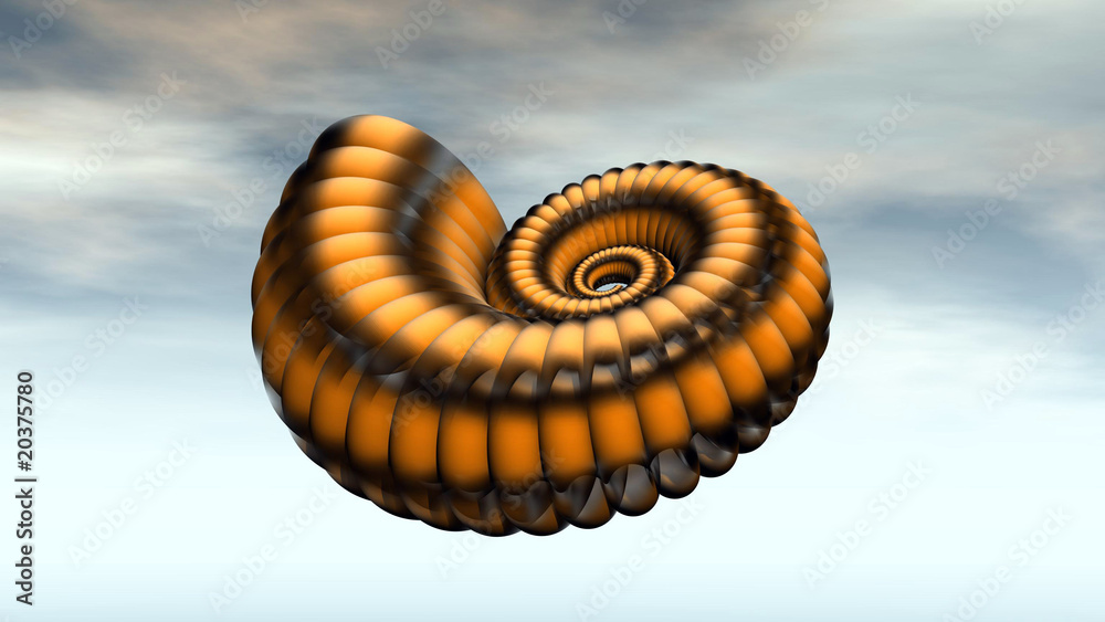 Schnecke Schnecke