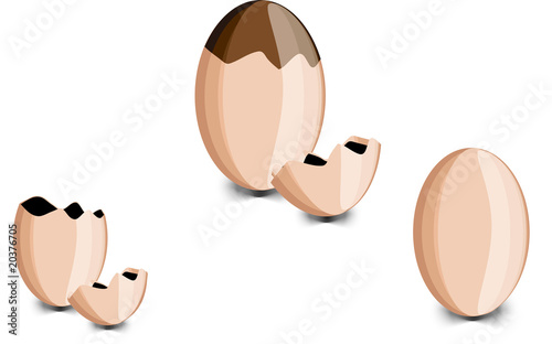 uova gallina