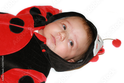 bambina coccinella photo