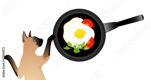 Siamese cat wants to eat the fried eggs from a frying pan