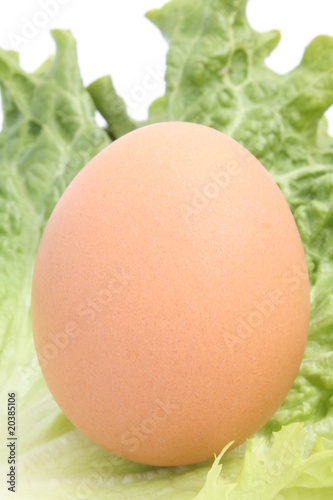Easter fresh egg with green salad