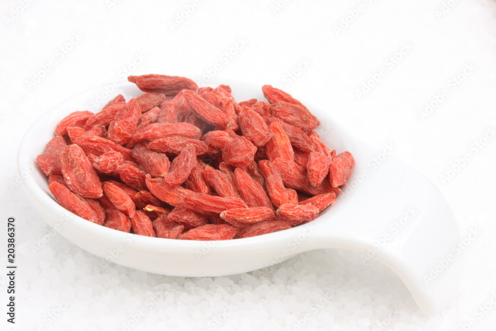 Goji berry, Lycium barbarum / 枸杞 Goji berry, Lycium barbarum / 枸杞