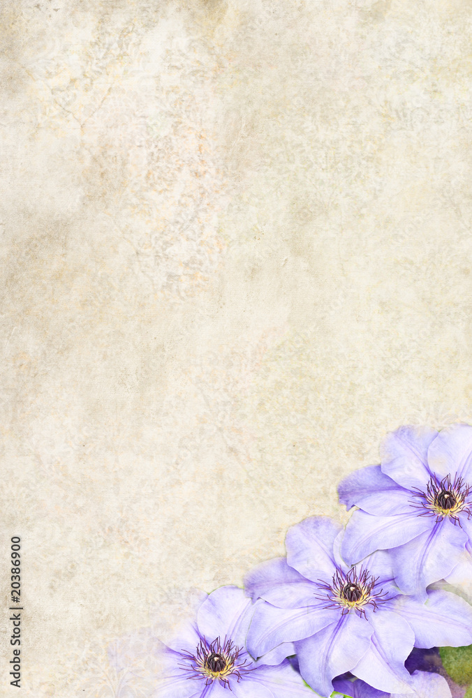 Photo based illustrated background with Clematis flowers Photo based illustrated background with Clematis flowers