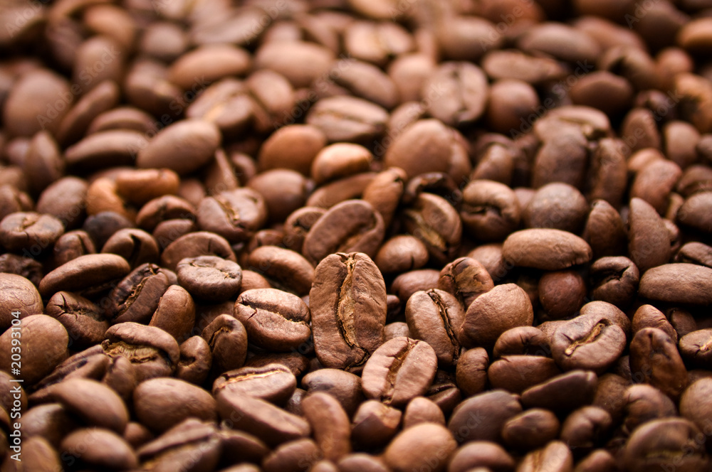 Coffee Beans Coffee Beans