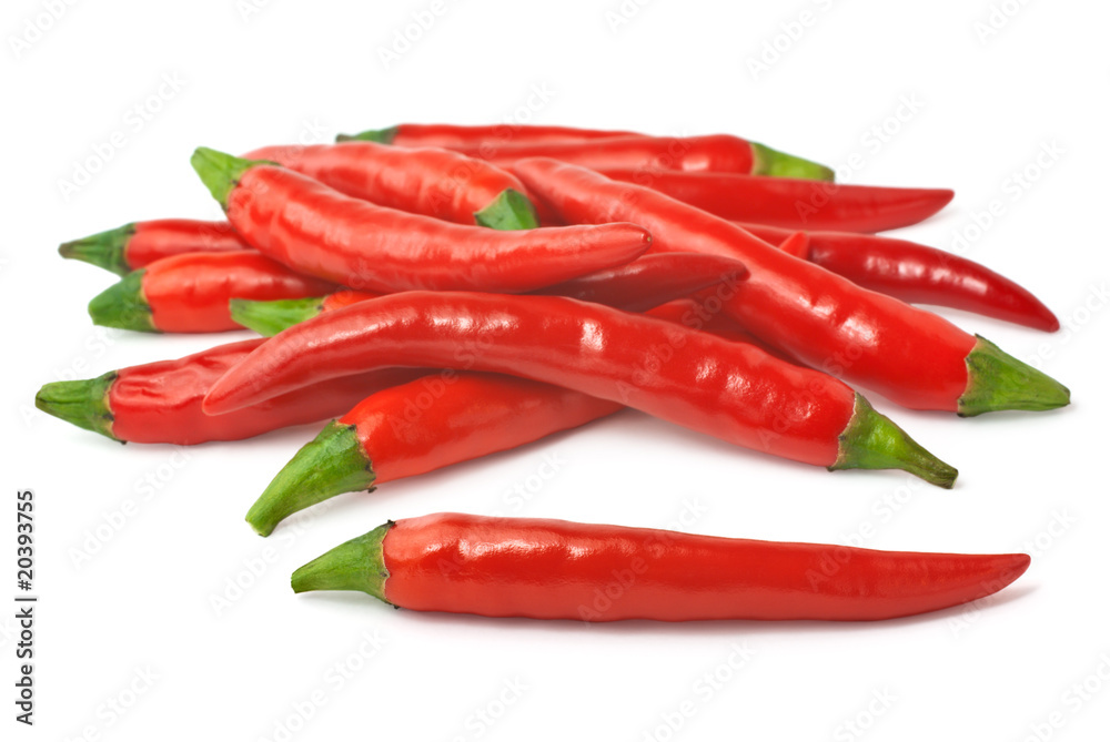 Spicy red chillies isolated on white background