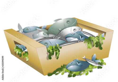 Caisse de poissons
