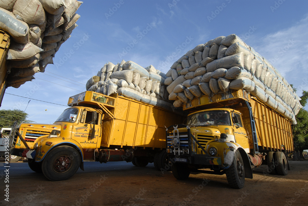 Fototapeta premium tired trucks in senegal