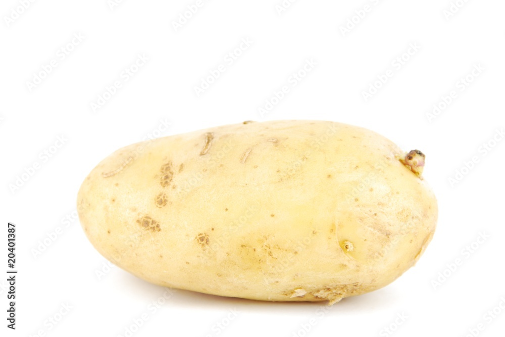 Unpeeled yellow potato on white Unpeeled yellow potato on white