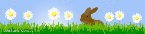 Osterhase