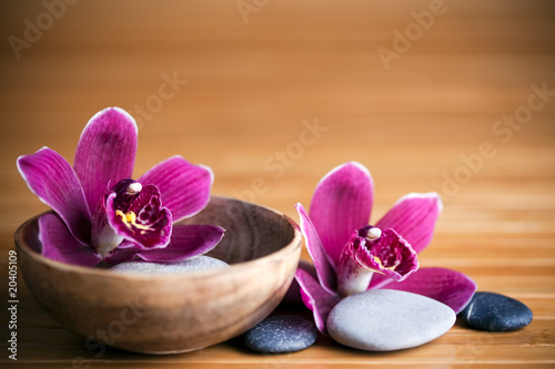 Composition zen - fleurs orchidée et pierres