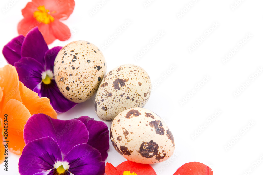 Quail eggs with flowers