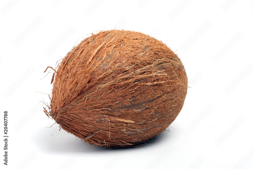 Coconut Coconut
