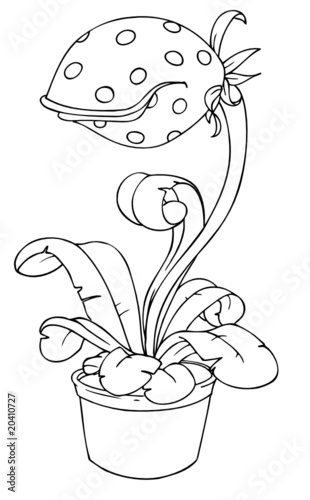Fleischfressende Pflanze, Blume, Blumentopf