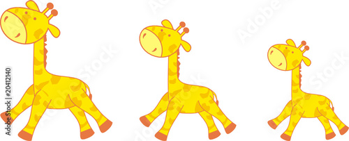 giraffe family